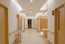 石家庄市养老院果园