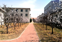 邯郸养老院果园