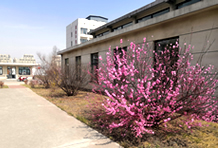 邯郸养老院一角